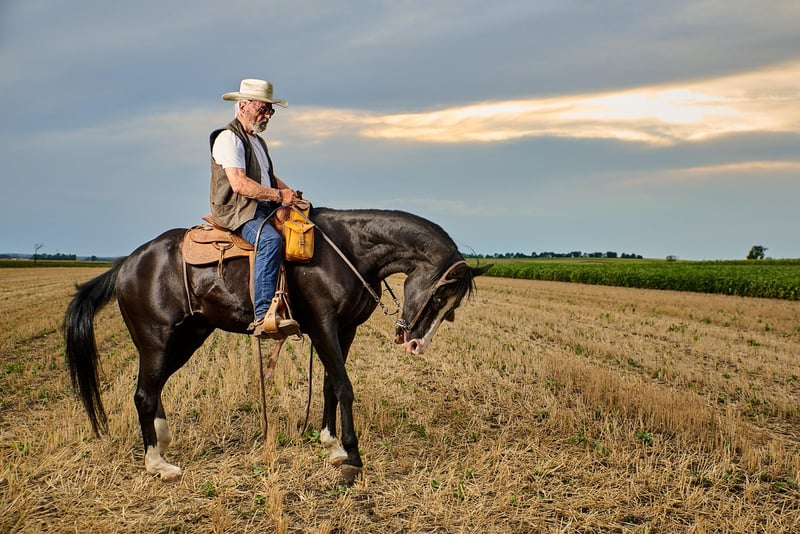Cowboy Silhouette